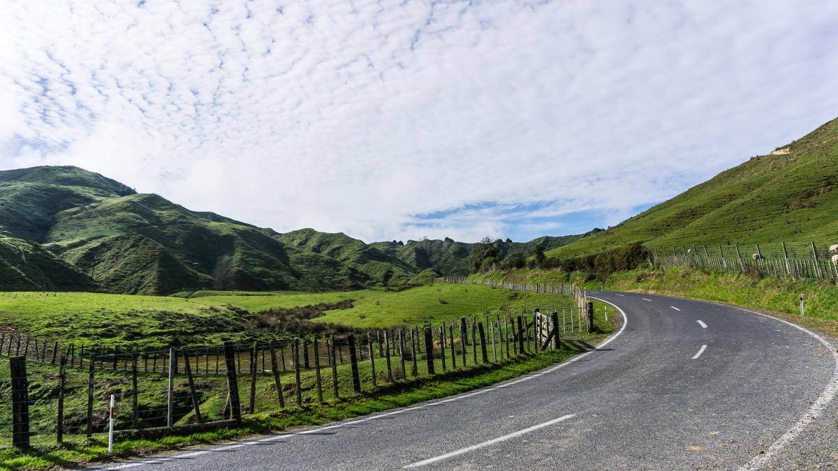 A road in New Zealand, through a grassy hilly landscape